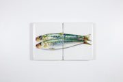 Green sardines (40cm x 24cm)