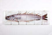 Hake (120cm x 35cm)