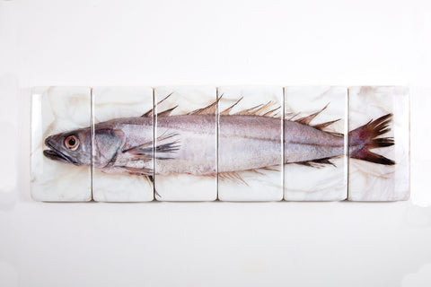 Hake (120cm x 35cm)