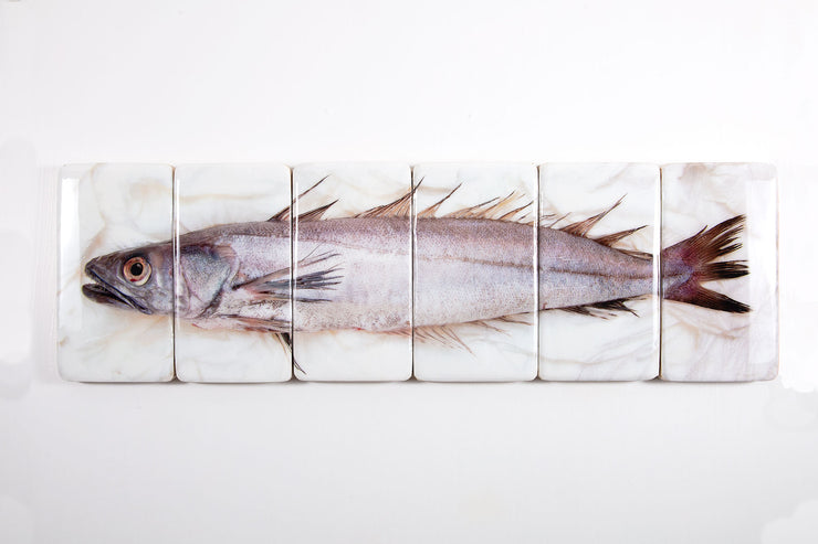 Hake (120cm x 35cm)