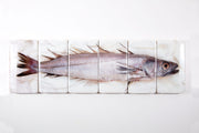 Hake (120cm x 35cm)