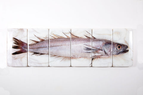 Hake (120cm x 35cm)