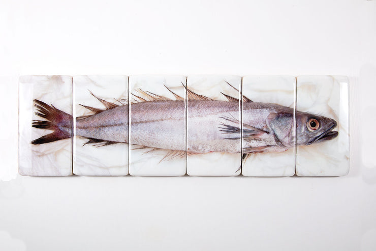 Hake (120cm x 35cm)