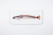 Hake (40cm x 20cm)