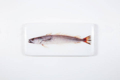 Hake (40cm x 20cm)