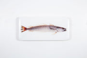 Hake (40cm x 20cm)