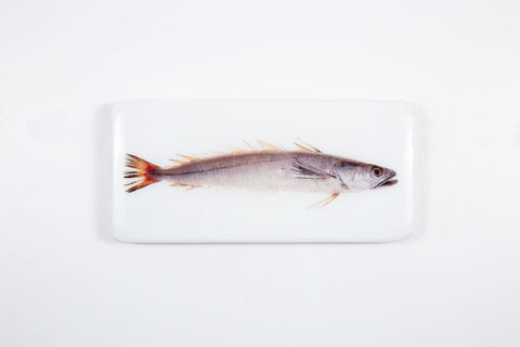 Hake (40cm x 20cm)