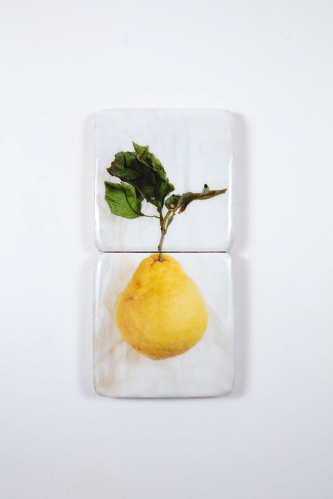 King lemon *2 (20cm x 40cm)