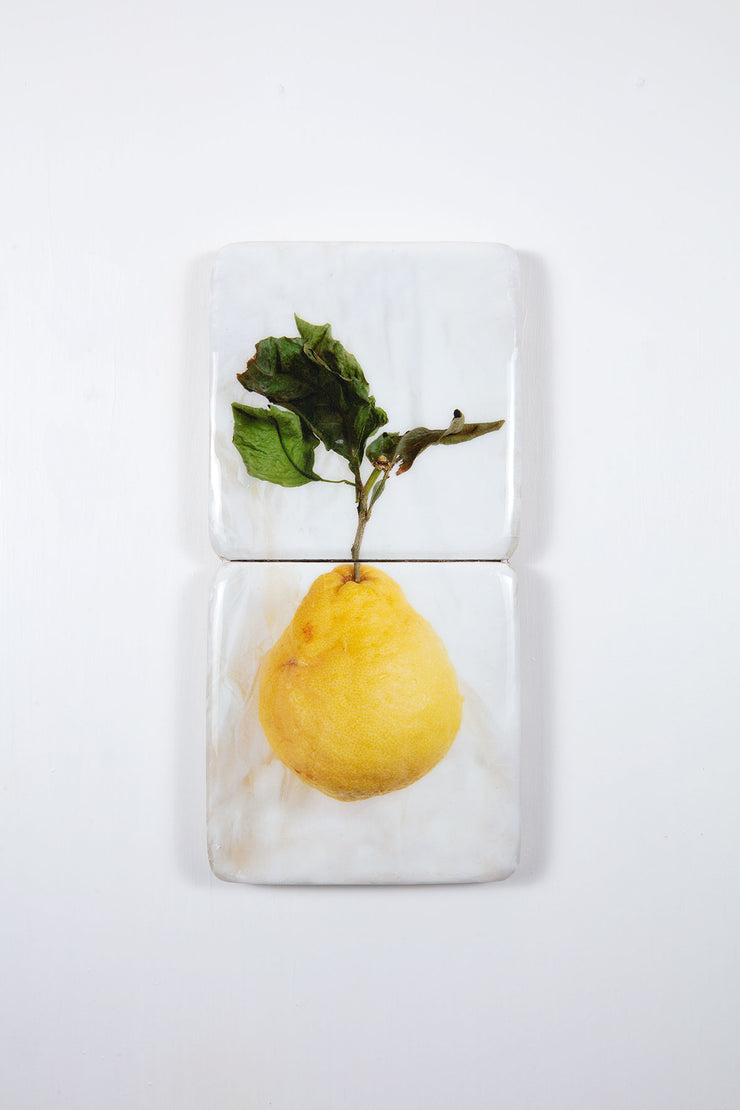 King lemon *2 (20cm x 40cm)