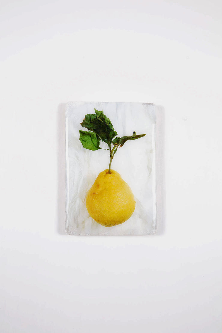 King lemon (20cm x 29cm)