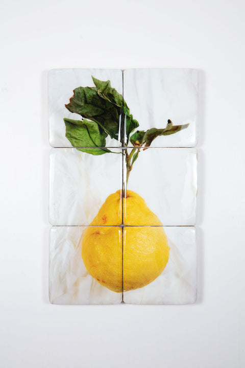 King lemon (40cm x 60cm)