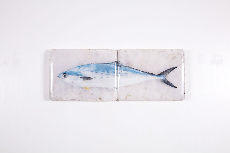 King mackerel *2 (48cm x 20cm)