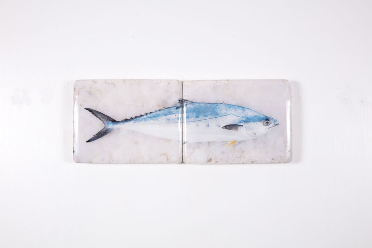 King mackerel *2 (48cm x 20cm)