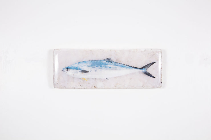 King mackerel (40cm x 13cm)