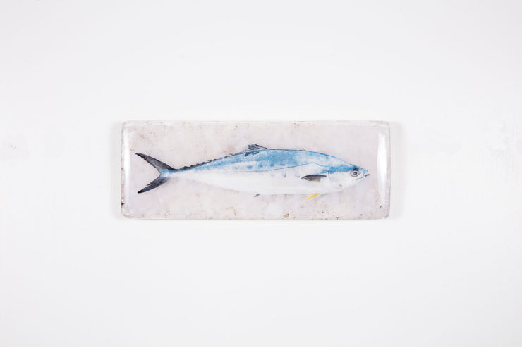 King mackerel (40cm x 13cm)