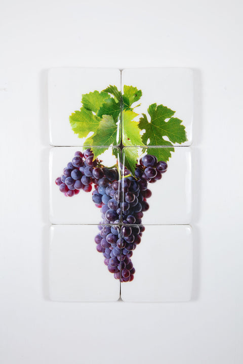 Montalcino Castello Banfi 