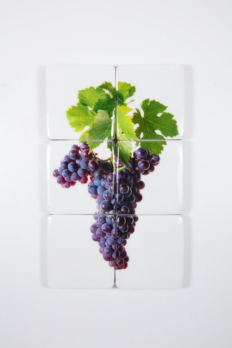 Montalcino Castello Banfi 