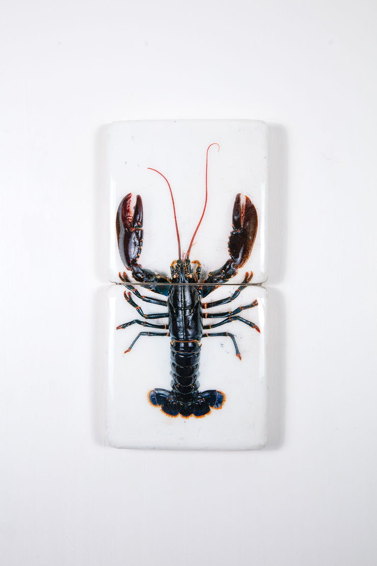 Oosterschelde lobster on white table *2 (20cm x 40cm)