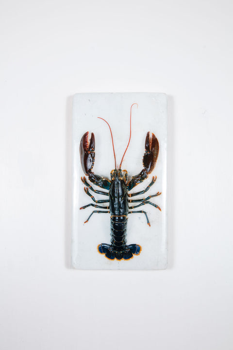 Oosterschelde lobster on white table (20cm x 35cm)