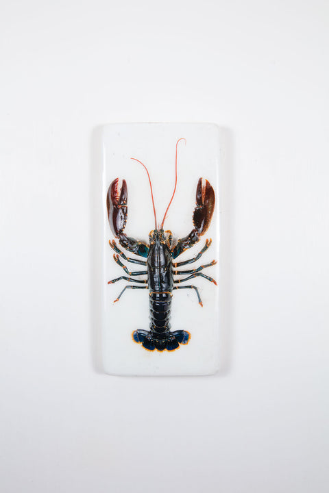 Oosterschelde lobster on white table (20cm x 40cm)