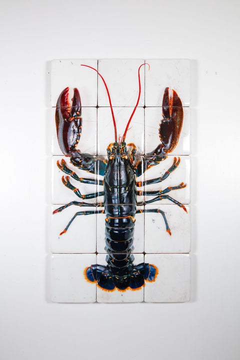 Oosterschelde lobster on white table (60cm x 100cm)