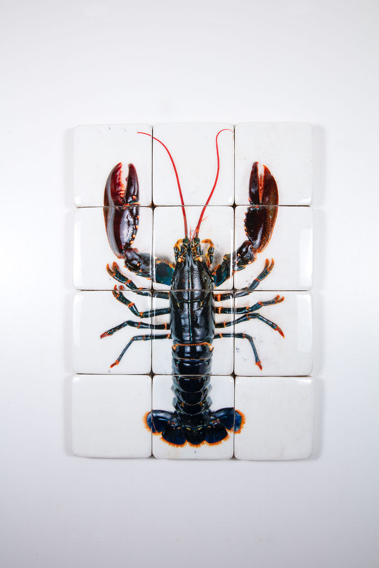 Oosterschelde lobster on white table (60cm x 80cm)