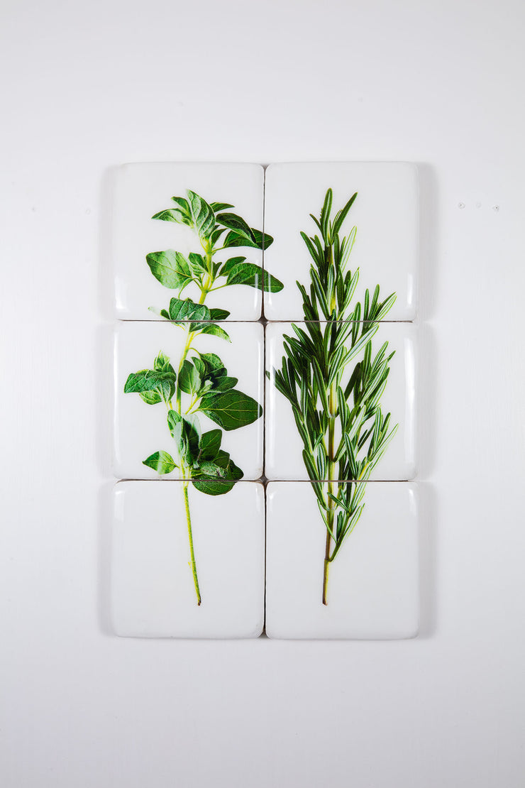 Oregano and rosemary (40cm x 60cm)