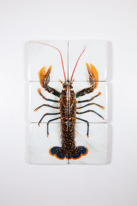 Portugese lobster (40cm x 60cm)