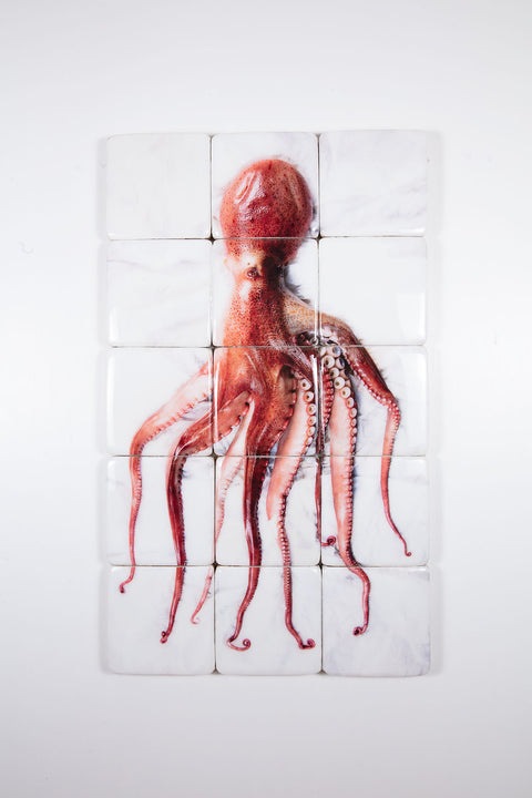 Portugese pulpo (60cm x 100cm)