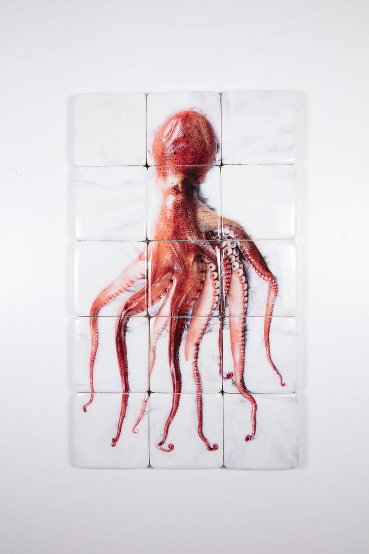 Portugese pulpo (60cm x 100cm)