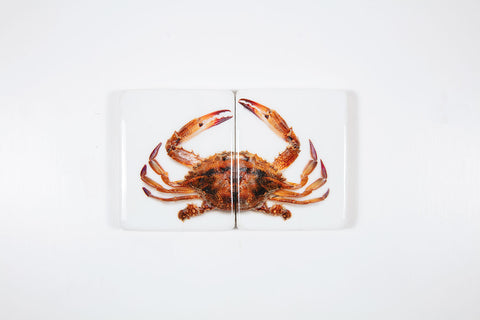 Portugese tiger crab (40cm x 24cm)