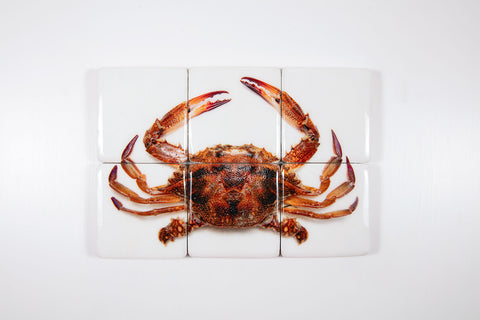 Portugese tiger crab (60cm x 40cm)