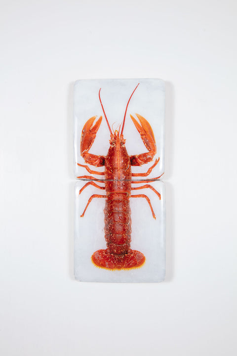 Red European lobster *2 (20cm x 40cm)