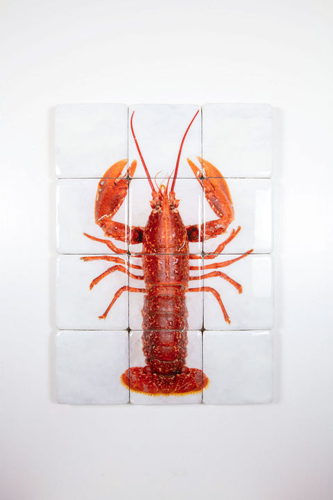 Red European lobster (60cm x 80cm)