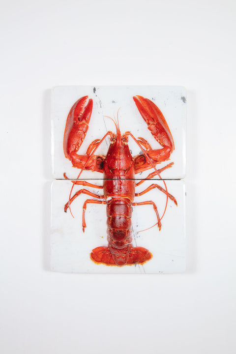 Red Oosterschelde lobster on white table (29cm x 40cm)