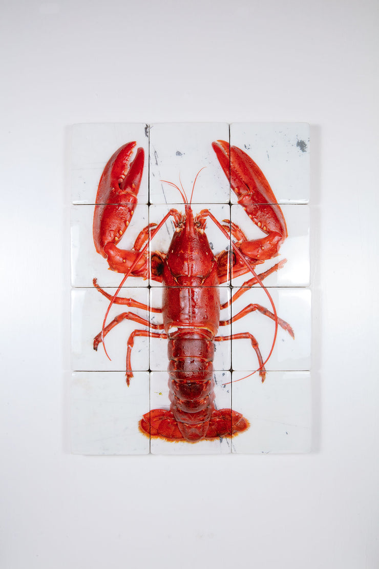 Red Oosterschelde lobster on white table (60cm x 80cm)