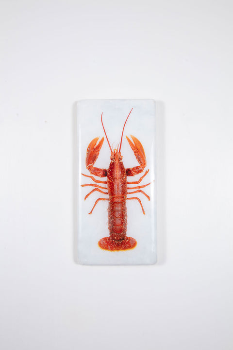 Red European lobster (20cm x 40cm)