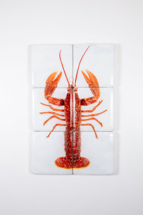 Red European lobster (40cm x 60cm)