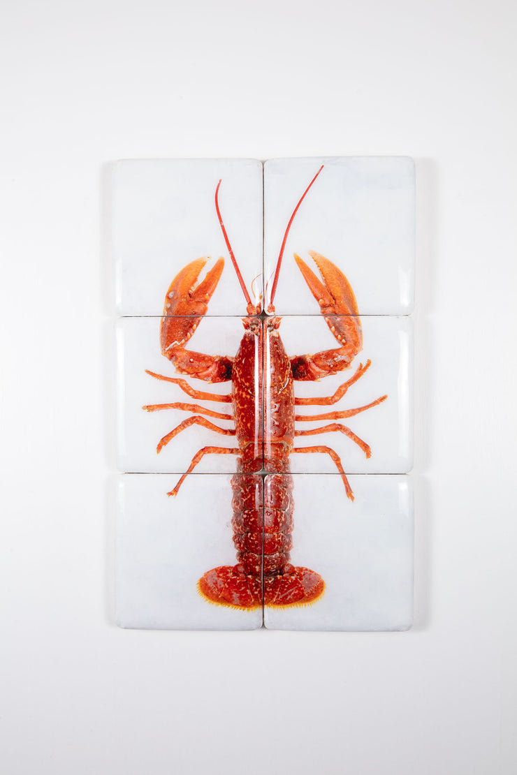 Red European lobster (40cm x 60cm)