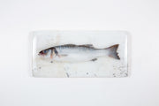 Sea bass on white table (40cm x 20cm)