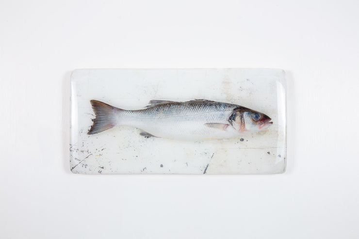 Sea bass on white table (40cm x 20cm)