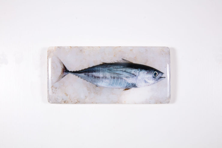 Skipjack tuna (40cm x 20cm)