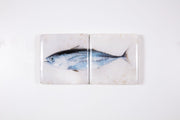 Skipjack tuna *2 (40cm x 20cm)