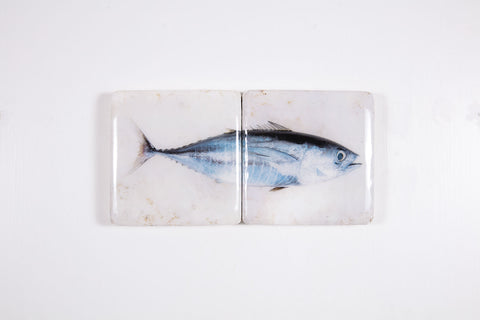 Skipjack tuna *2 (40cm x 20cm)