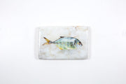 Small yellow trevally #1 (20cm x 29cm)