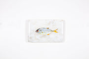 Small yellow trevally (29cm x 20cm)