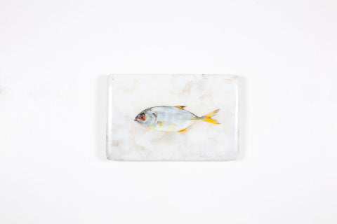 Small yellow trevally (29cm x 20cm)