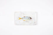 Small yellow trevally (29cm x 20cm)