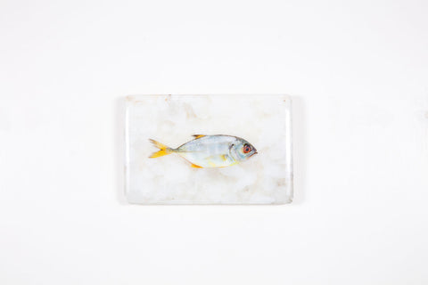 Small yellow trevally (29cm x 20cm)