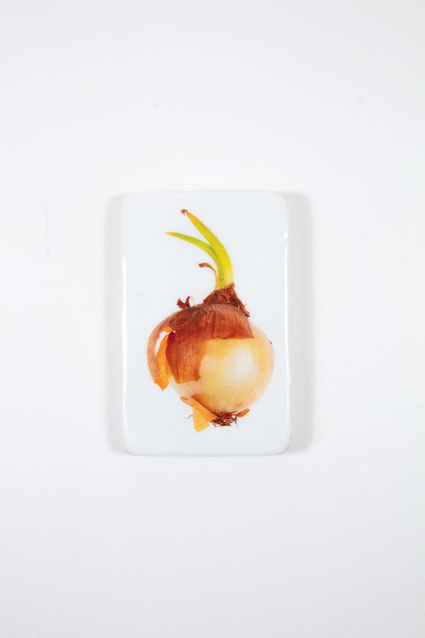 Smoked onion (20cm x 29cm)